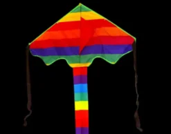 High as a Kite - Midget Rainbow Kite
