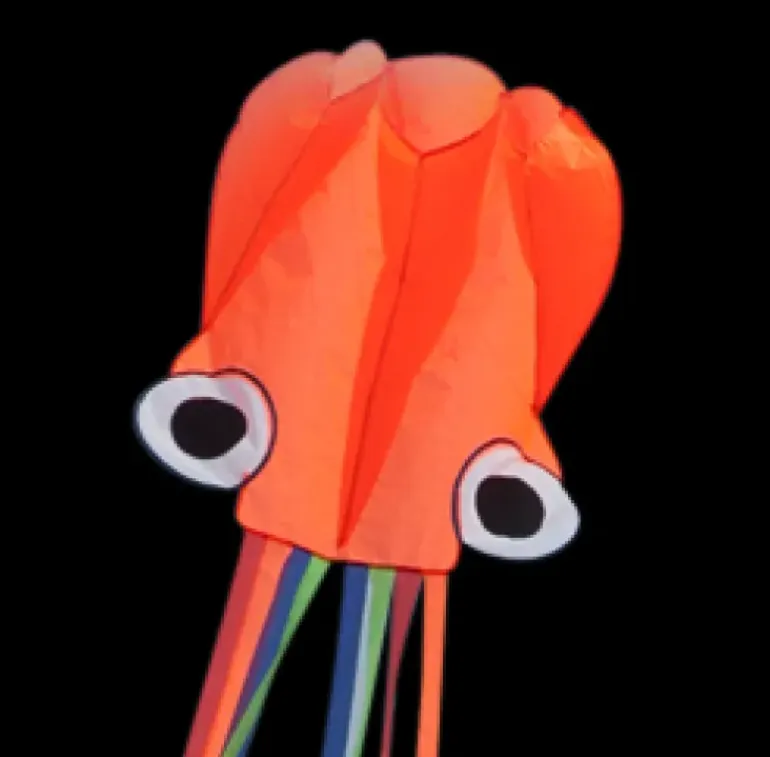 High as a Kite - Octopus Kite