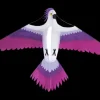 High as a Kite - Parrot
