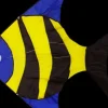 High as a Kite - Reef Fish Kite