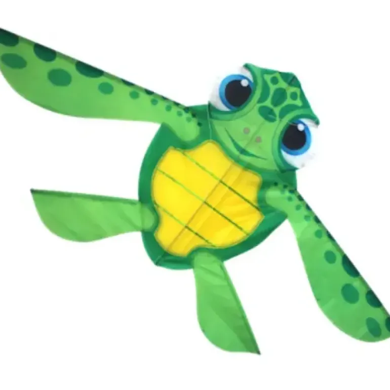 High As A Kite - Sea Turtle