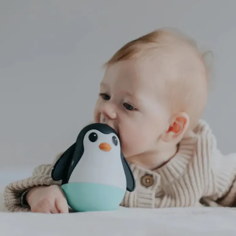 Jellystone - Penguin Wobble - Black