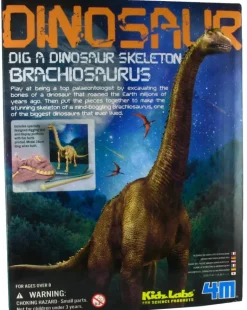 4M - Dig-A-Dino Brachiosaurus