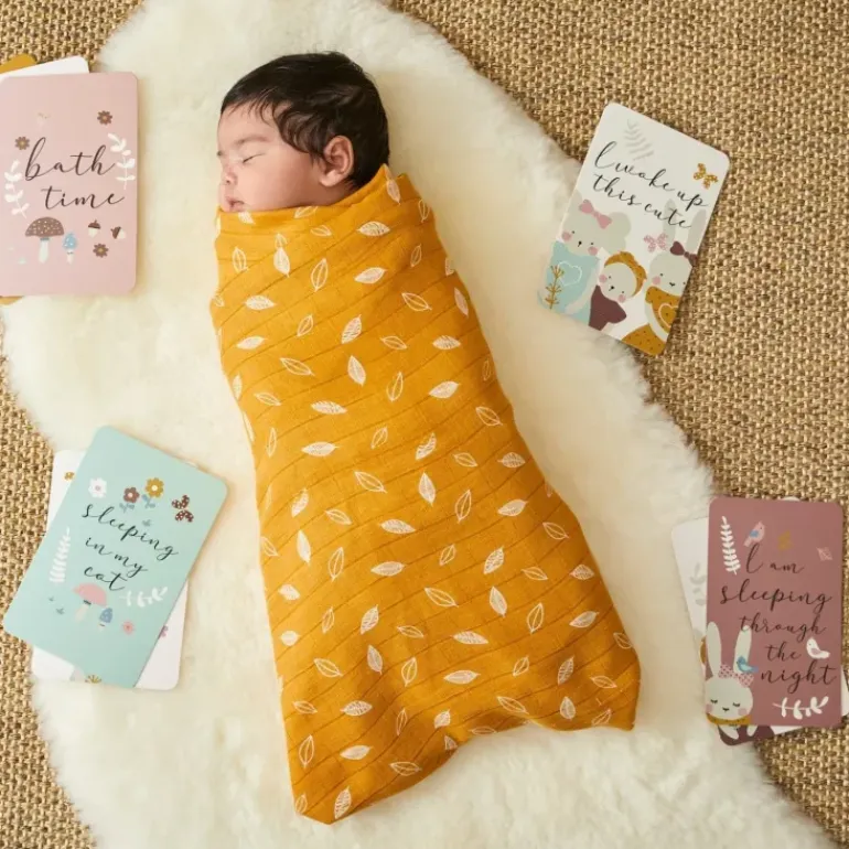 Pilbeam - In The Meadow Baby Milestone Cards