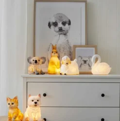 Pilbeam - Nightlight Koala