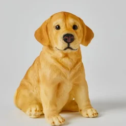 Pilbeam - Nightlight Labrador