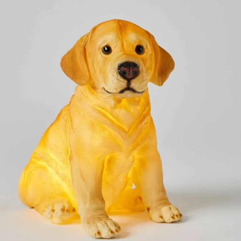 Pilbeam - Nightlight Labrador