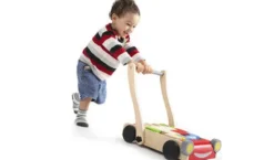 Plan Toys - Baby Walker Wagon