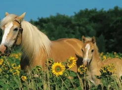 Ravensburger - 200pc Horse Happiness Puzzle