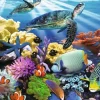 Ravensburger - 200Pc Ocean Turtles Puzzle
