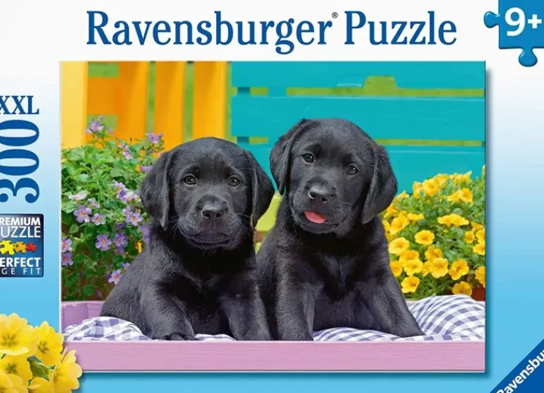 Ravensburger - 300Pc Puppy Life Puzzle