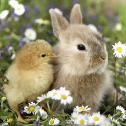 Ravensburger - 3 x 49Pc Cute Bunnies Puzzle