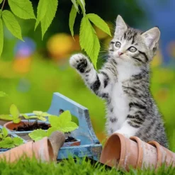 Ravensburger - 3 x 49Pc Kittens Puzzle