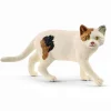 Schleich - American Shorthair Cat
