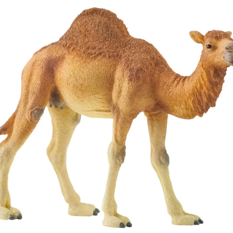Schleich - Dromedary Camel
