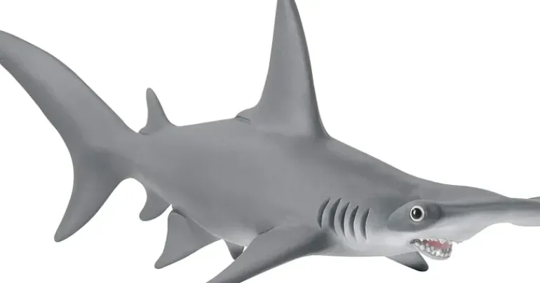 Schleich - Hammerhead Shark