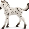 Schleich - Knapstrupper Foal