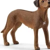 Schleich - Rhodesian Ridgeback