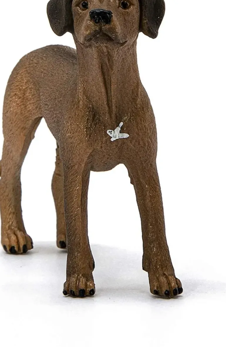 Schleich - Rhodesian Ridgeback