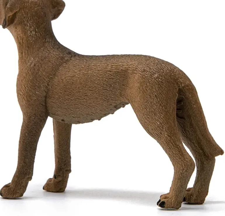 Schleich - Rhodesian Ridgeback