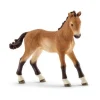 Schleich - Tennessee Walker Foal