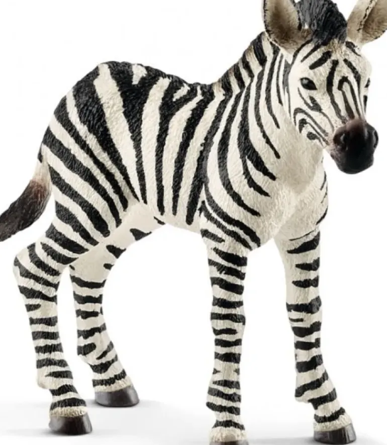 Schleich - Zebra Foal