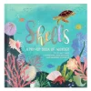 Shells Pop Up Book of Wonder (Hard Back)