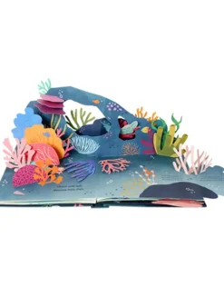 Shells Pop Up Book of Wonder (Hard Back)