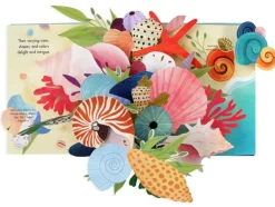 Shells Pop Up Book of Wonder (Hard Back)
